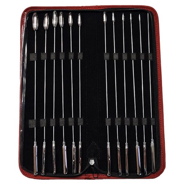 Rouge Stainless Steel 12 Piece Rosebud Urethral Kit